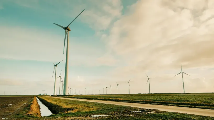 Investor-friendly auctions dominate green energy funding 