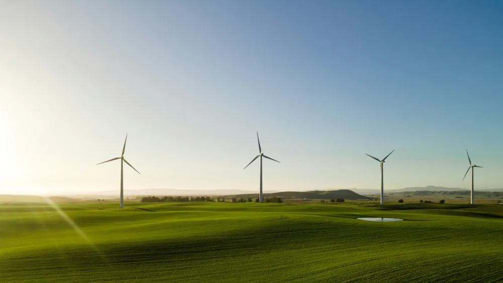 Carbon tax, green imports raise cost, compliance risks