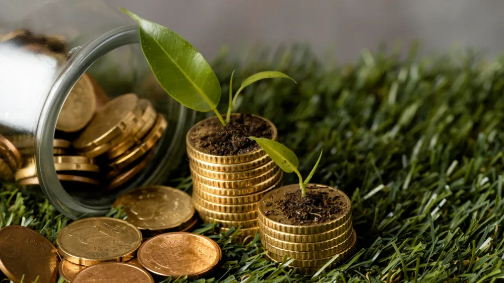 2 in 3 firms exploring transition finance: study