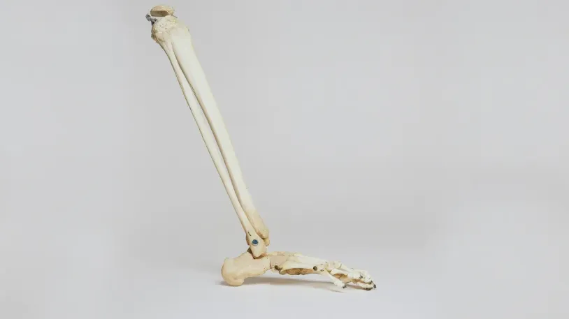 Rising surgical volume fuels demand for orthopaedic power instruments