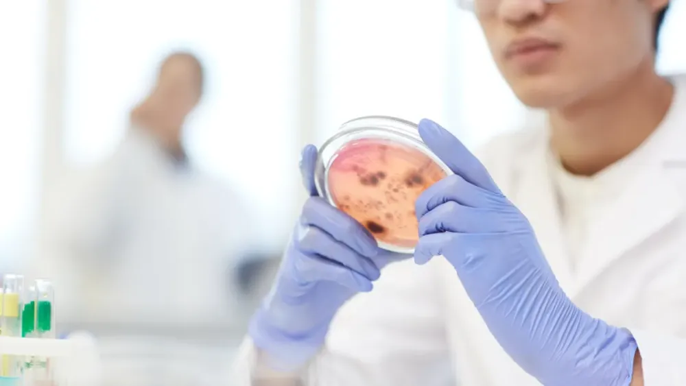 Rising chronic diseases drive growth in medical membrane market