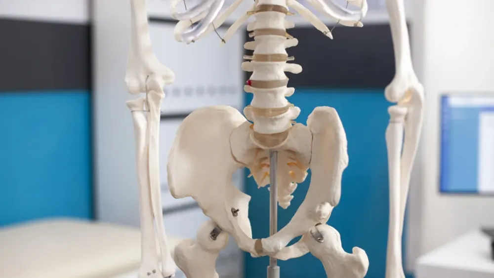 Rising osteoarthritis cases drive expansion of India’s hip implant market
