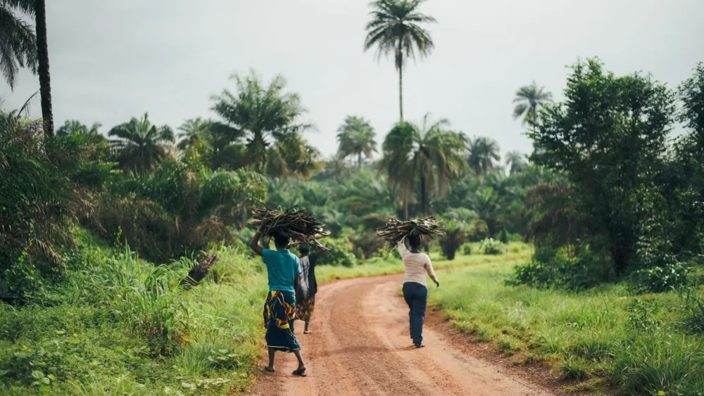 Wilmar forms 50:50 joint venture with TGI Group in West Africa