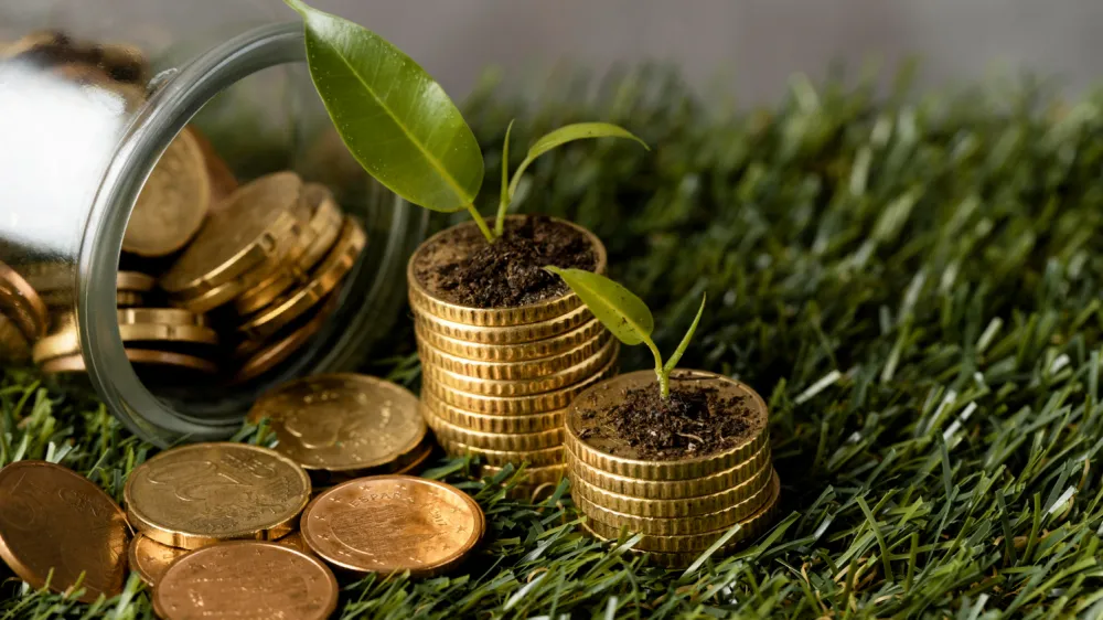 Can climate rules become banks' next business?