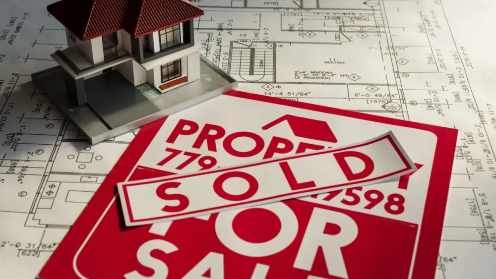 Auction listings reach five-year high in H1