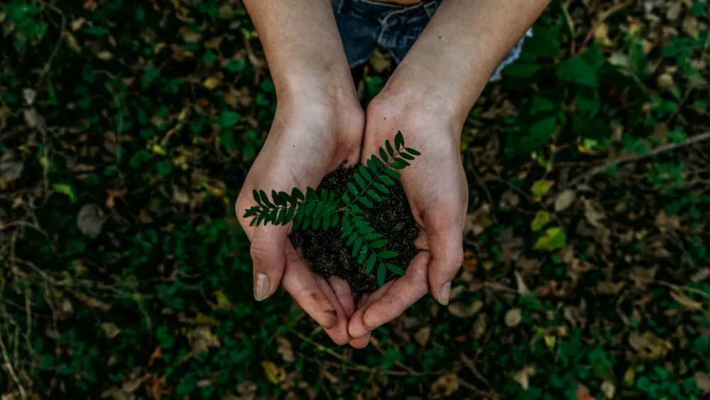 Think tank urges Japan to ditch market neutrality to fight greenwashing