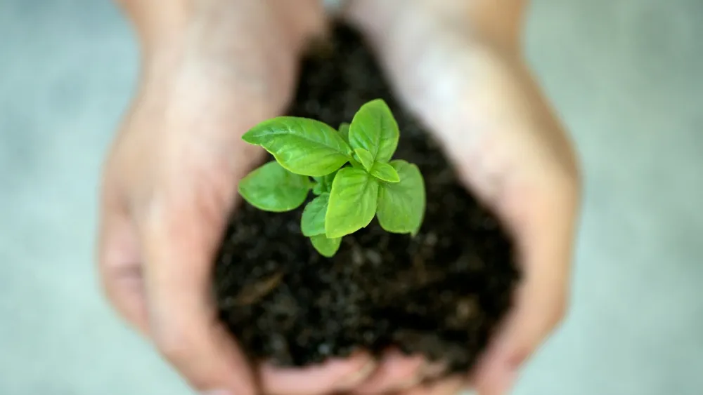 Firms reap 139% returns from emissions cuts, CDP says