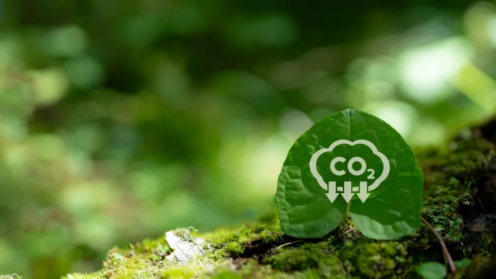 SG-Indonesia pact builds climate finance plan for carbon credits 