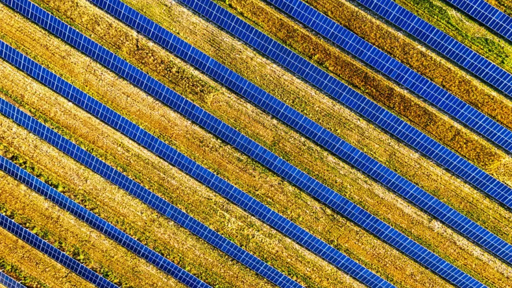 New Zealand approves 220MW Foxton solar farm