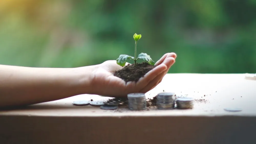 DBS programme helps 50 SMEs advance ESG readiness