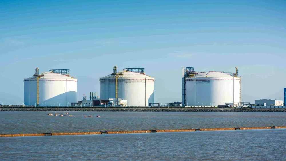 Local gas importer may seek remedies over Indonesian supply cuts