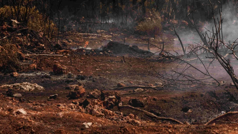 Singapore and Indonesia to form task force against haze-linked firms