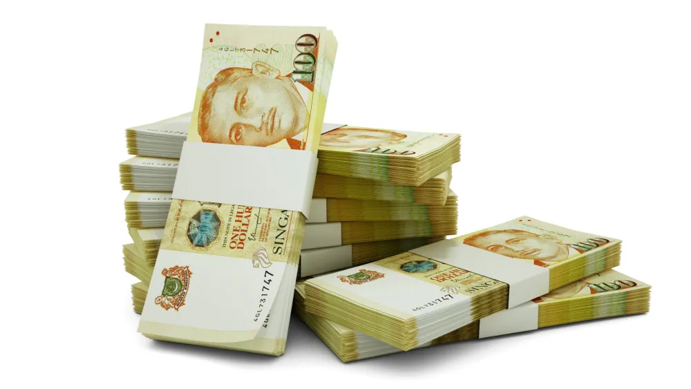 Mutual fund ownership nearly triples to Asia-high of 31%