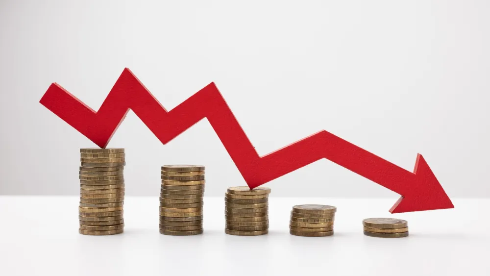 Japan sublease divestments push Food Innovators to $395,000 net loss