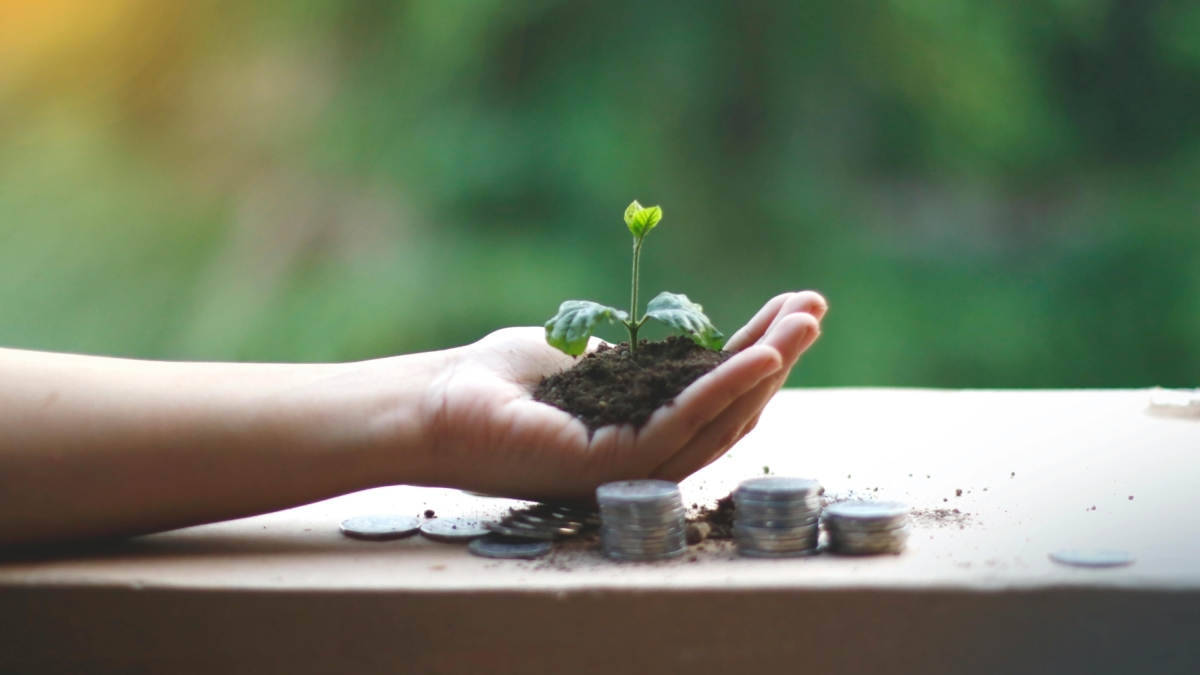 Photo by Akil Mazumder via Pexels