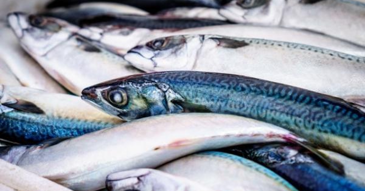 Fresh Fish Inflation Foodservice inflation hits all time high: study | QSR Media UK