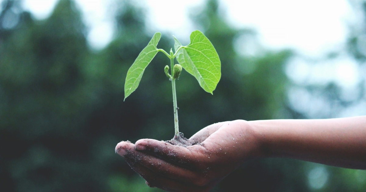 India Aims for $9.52b Investment in Green Hydrogen Sector