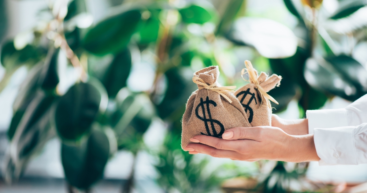 EnterpriseSG launches sustainability reporting grants for local firms