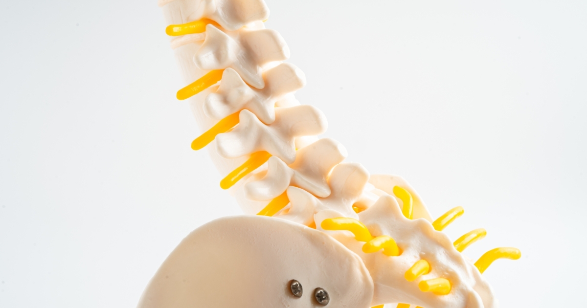 NUH’s Spine AI quickens discovery of spine issues