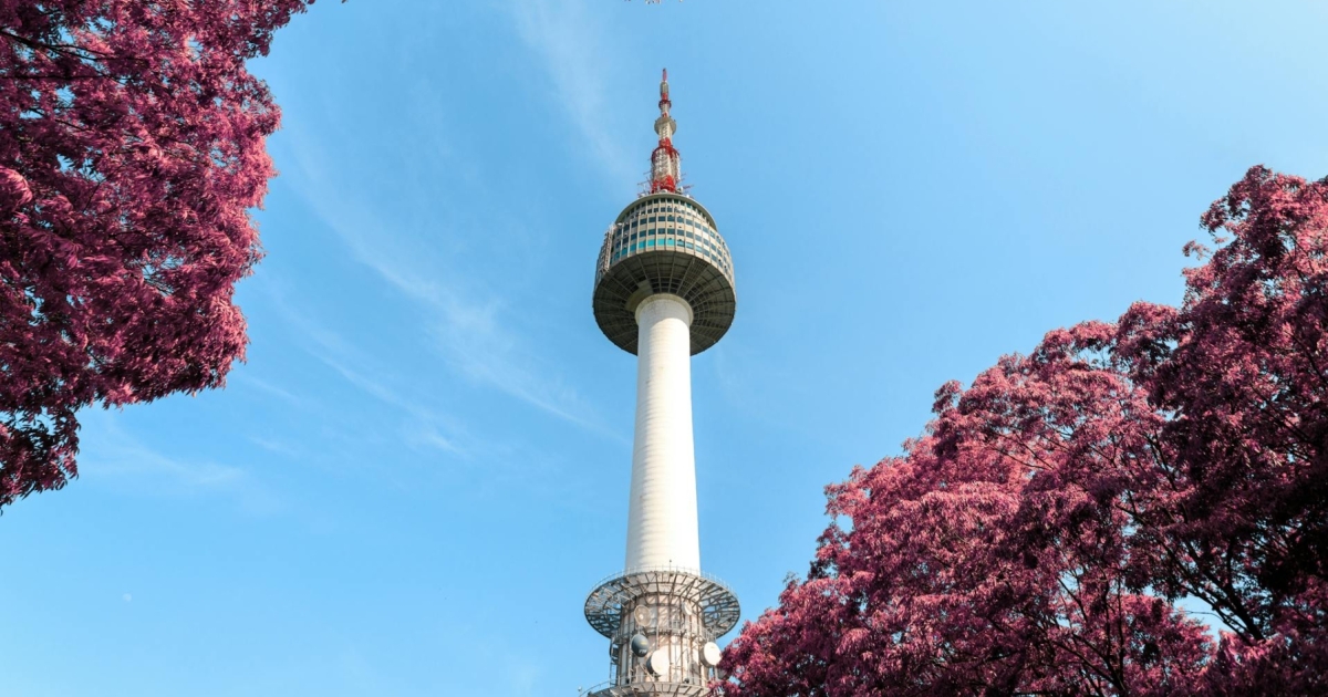 Alipay+ sees tourist spending rise on foreign e-wallet use