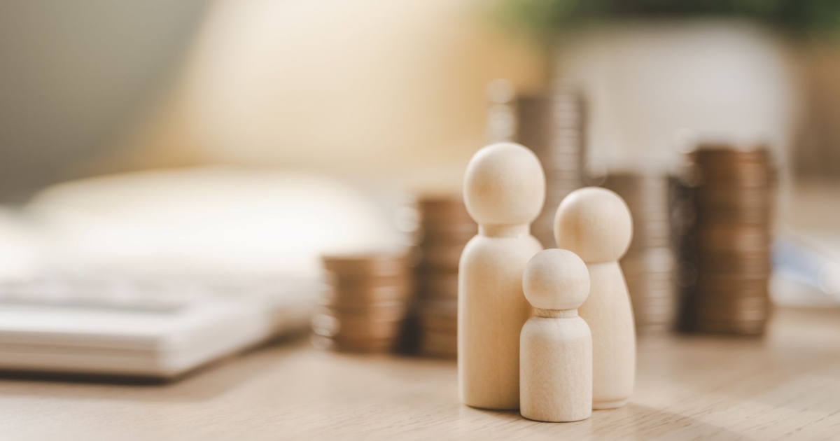 The plan is described as non participating universal life designed to provide income through indexed crediting.