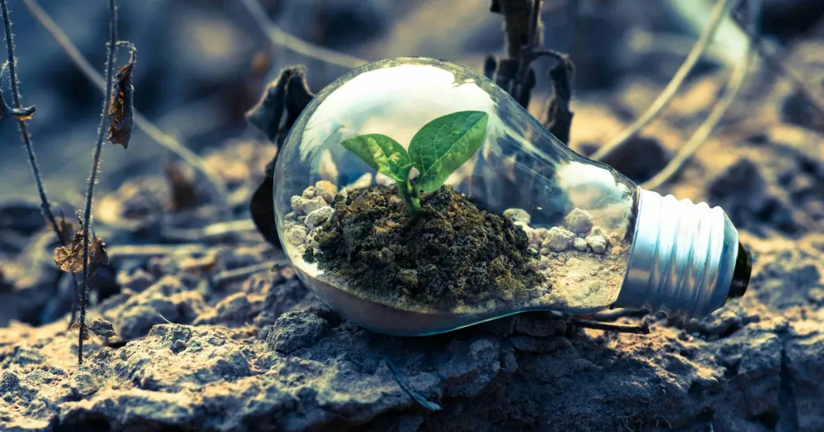 Singapore launches sustainability standard for businesses | Singapore ...
