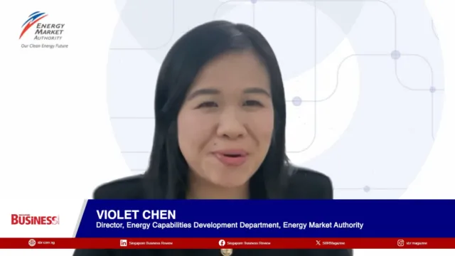 Singapore strengthens grid to balance demand, emissions goals